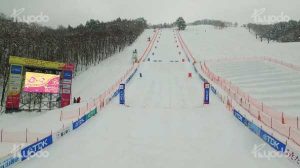 2017 FIS フリースタイルスキーワールドカップ秋田たざわ湖大会