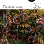 令和4年7-8月-秋田県広報紙-あきたびじょん
