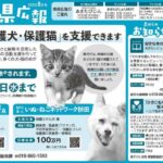 令和5年度 秋田県新聞広報「あきた県広報」2023年8月号