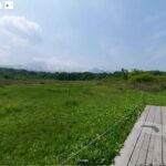 由利本荘市矢島総合支所様「桑ノ木台湿原」2024年6月