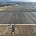 2025年12月秋田市仁井田西部地区ほ場パノラマ合成