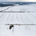 2026年1月秋田市仁井田西部地区ほ場パノラマ合成