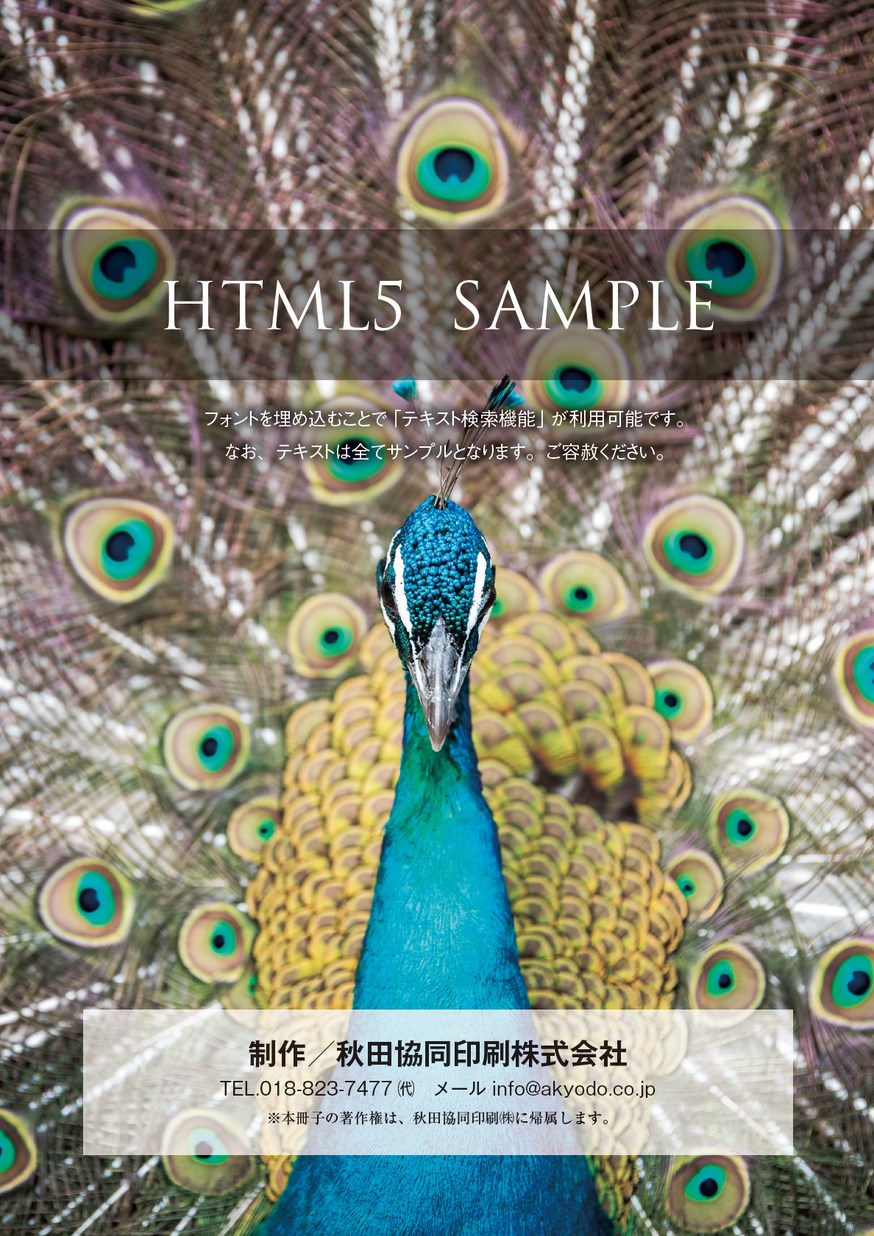 電子書籍サンプル_HTML5
